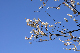 image0269