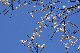 image0271