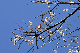 image0272