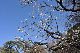 image0273
