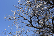 image0274