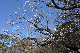 image0275