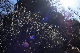 image0276