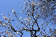 image0278