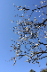 image0279