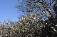 image0281