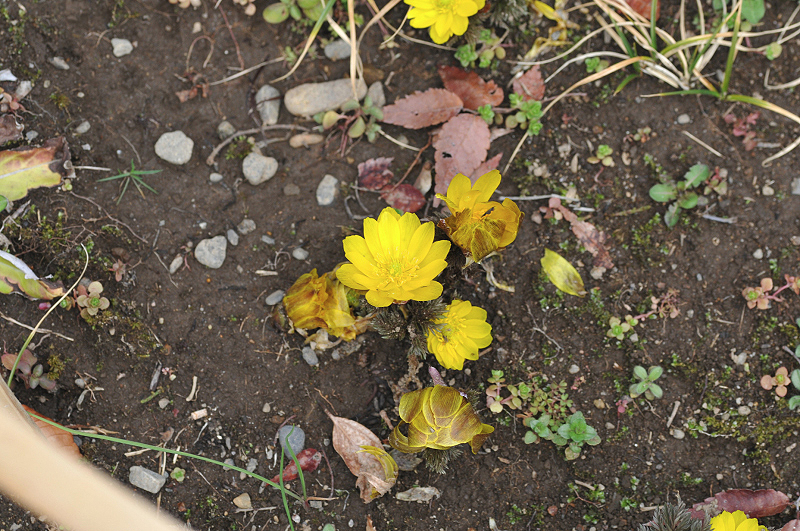 image0082