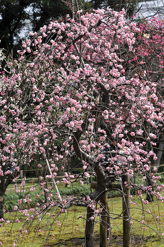 image0084