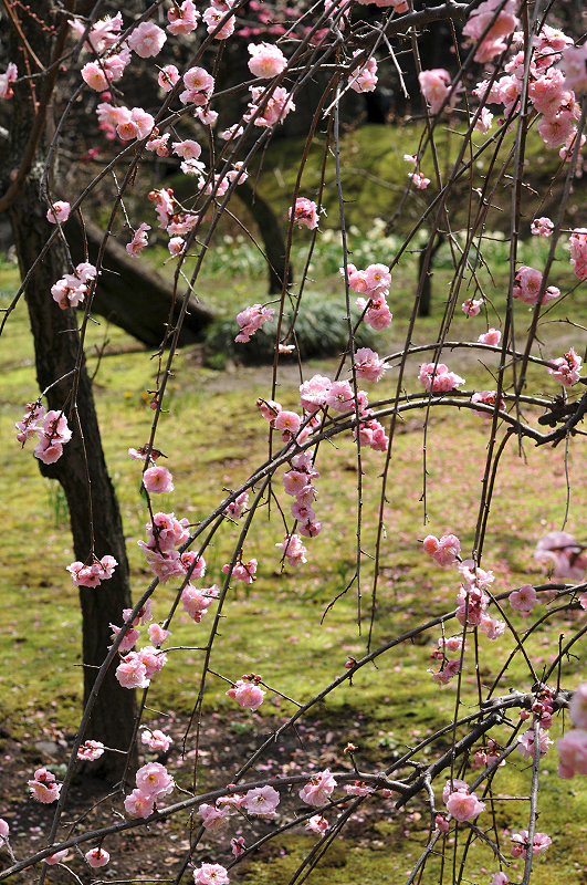 image0093