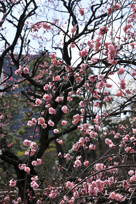 image0099