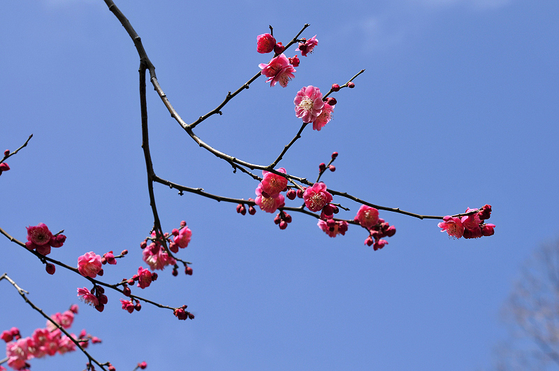 image0101