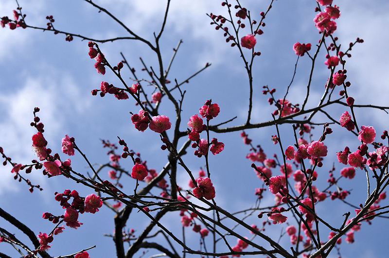 image0102