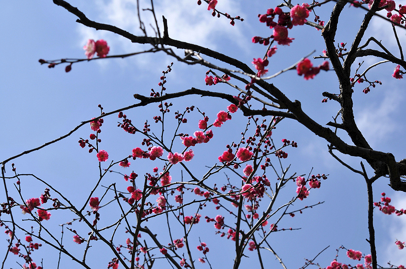 image0103