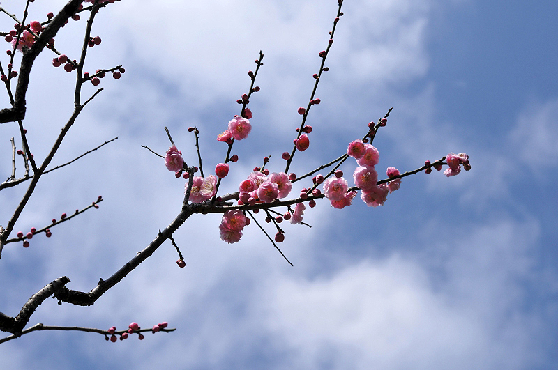 image0105