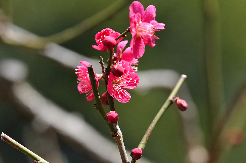 image0108