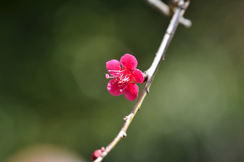 image0110