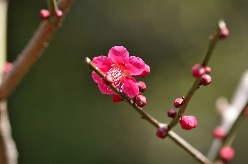 image0113