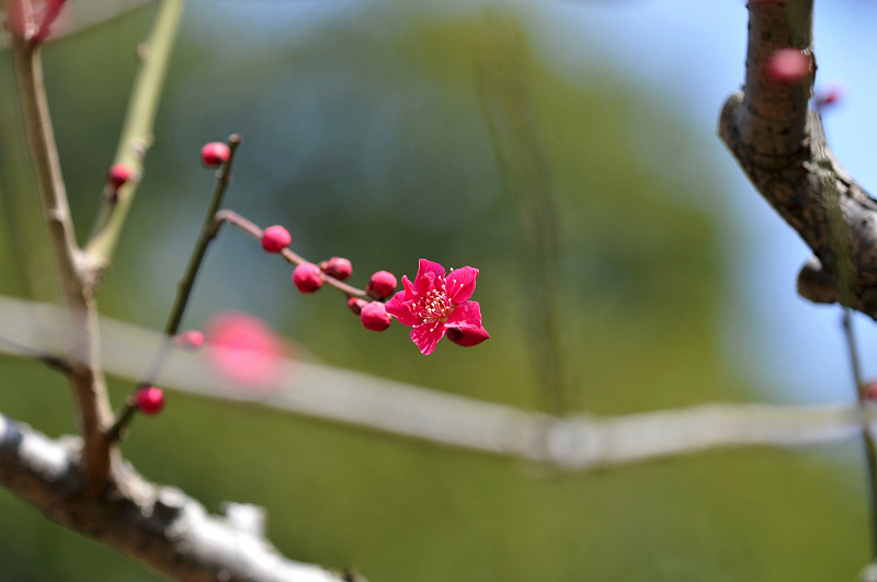 image0117