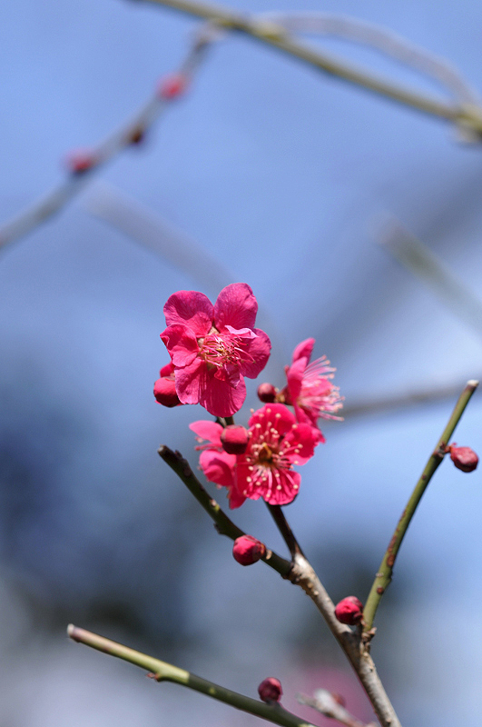 image0118