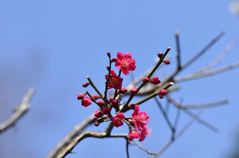 image0120