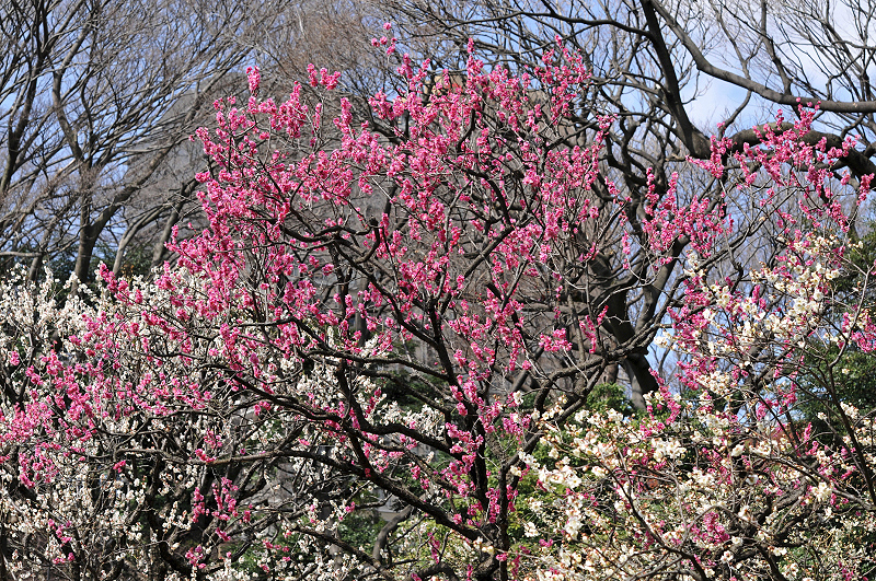 image0123