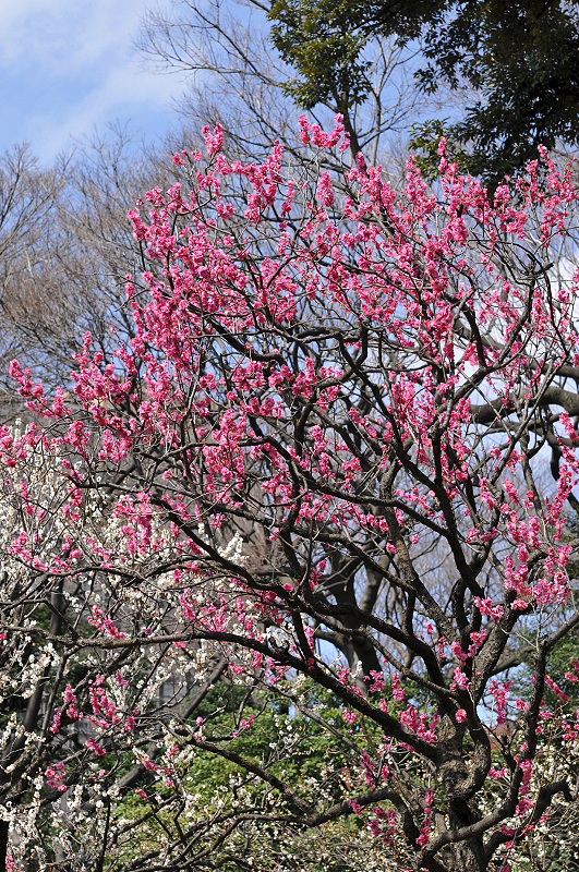 image0124