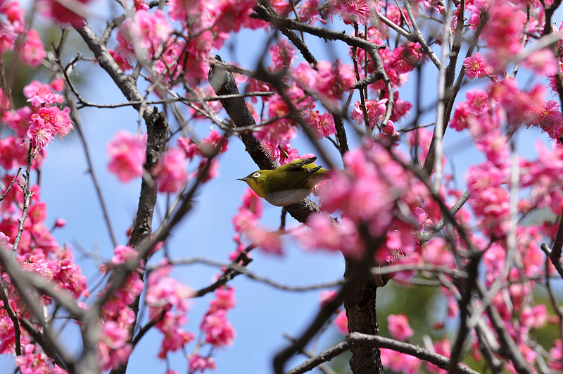 image0127