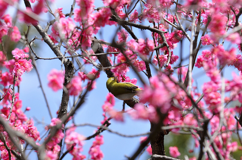 image0128