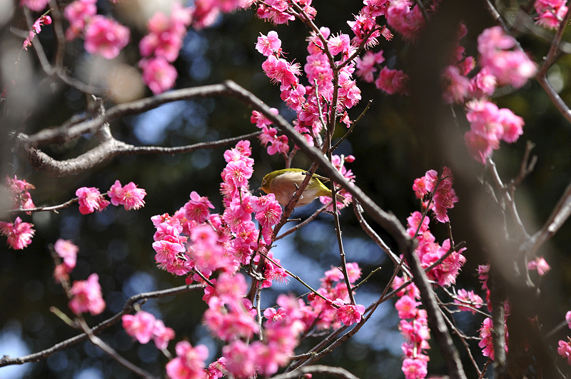 image0129