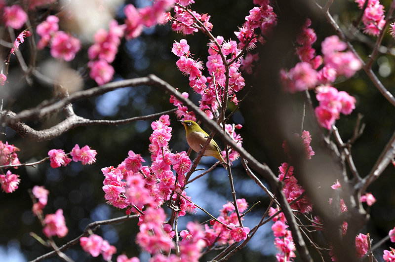 image0130