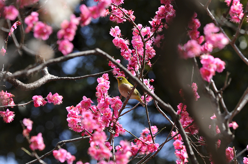 image0131