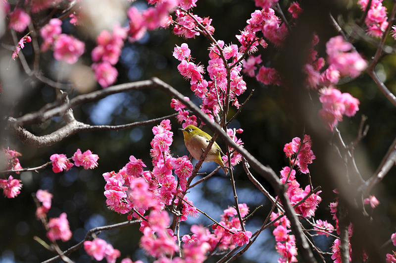 image0132