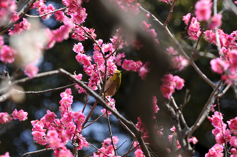 image0134