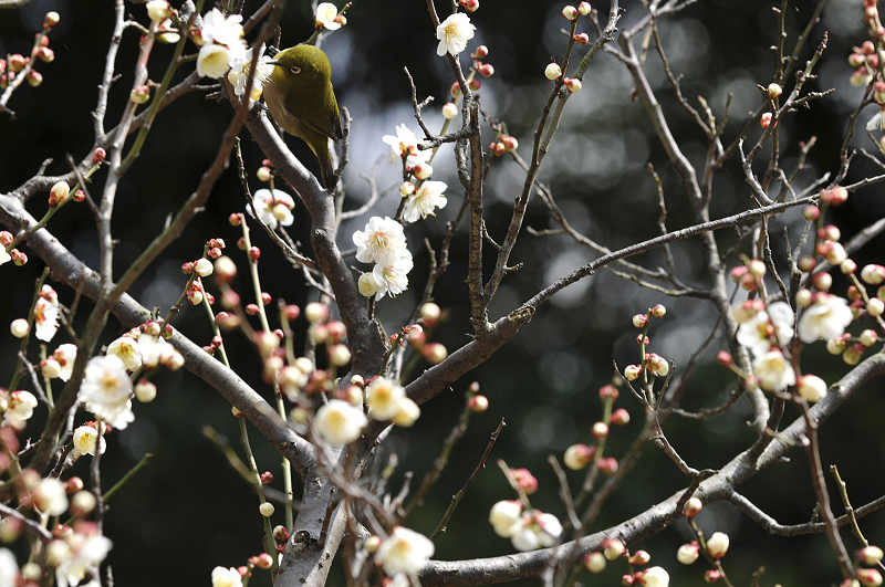 image0135