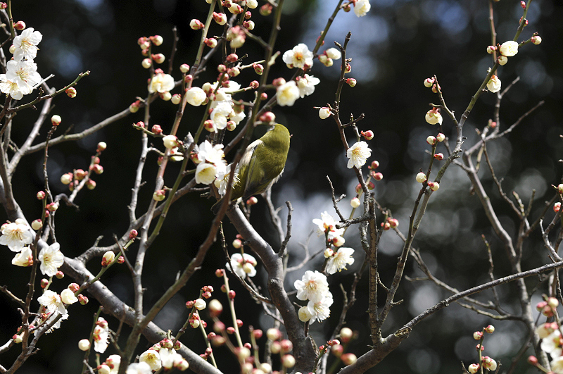 image0136