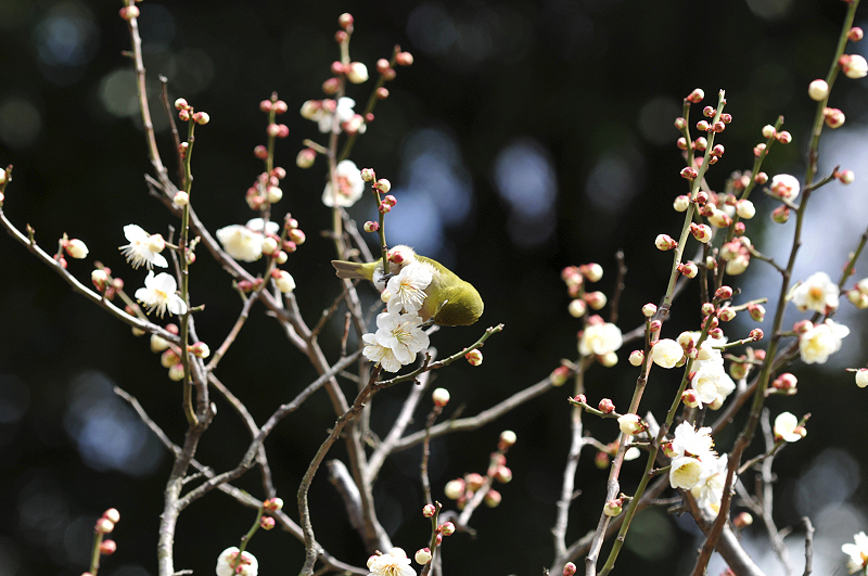 image0141