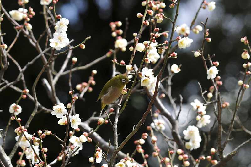 image0142