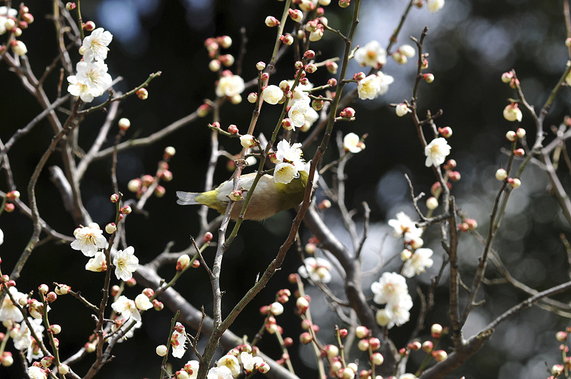 image0143