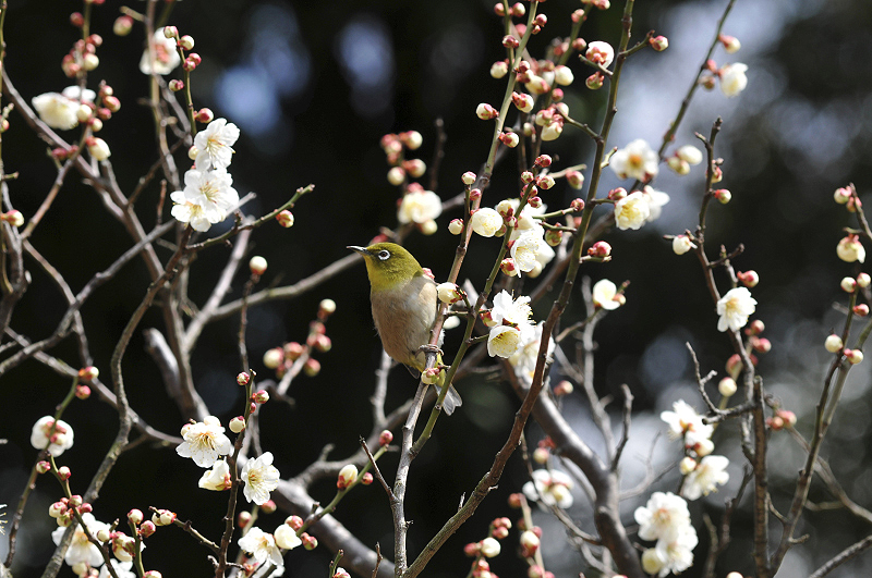 image0144