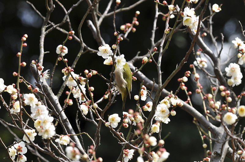 image0145