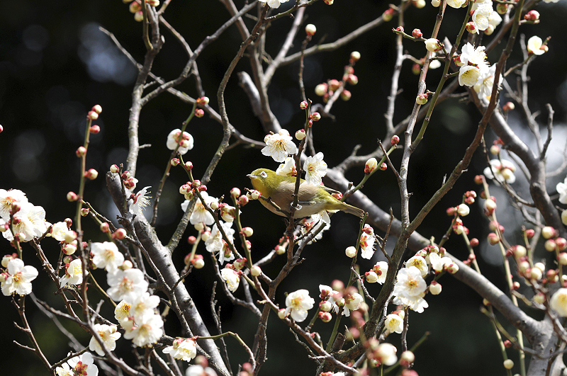 image0146