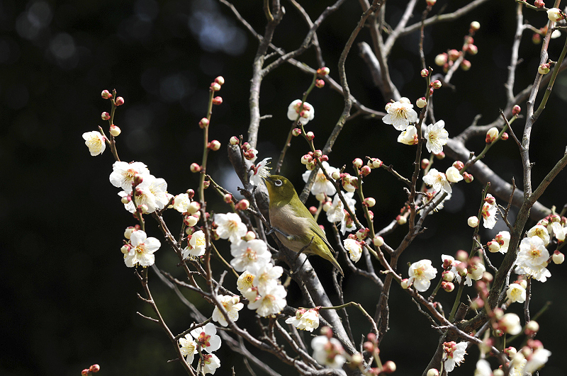 image0148