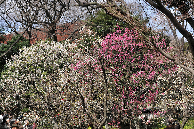 image0152