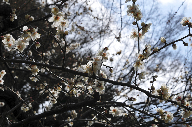 image0156