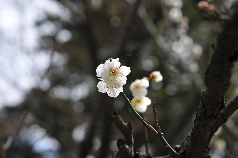 image0163