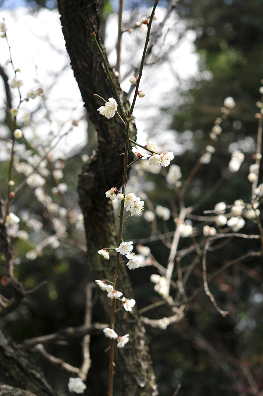 image0164