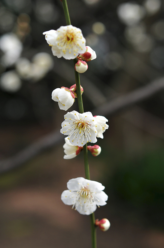 image0168