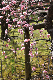 image0096