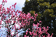 image0100