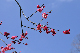 image0101